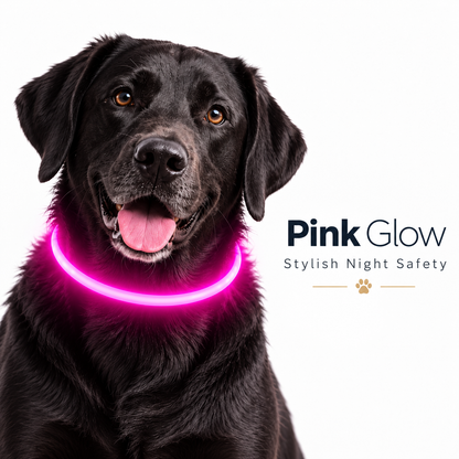 GlowGuard LED Dog Collar