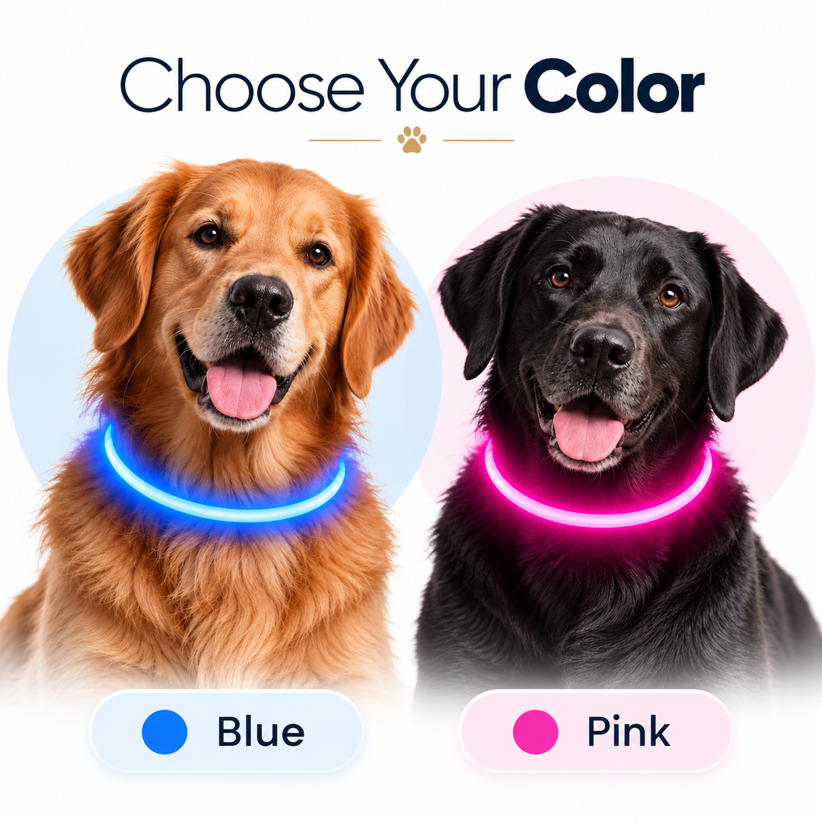 GlowGuard LED Dog Collar